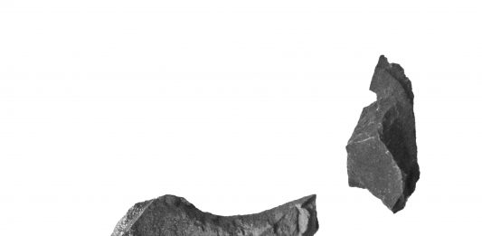 Nel suo ultimo libro-opera, Zaelia Bishop racconta le cose che succedono di notte