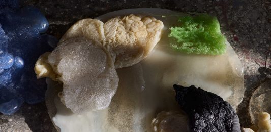 Con te con tutto: presentato il Padiglione Italia di Chiara Camoni e Cecilia Canziani. Ma non si arrestano le polemiche sulla Biennale padiglione italia