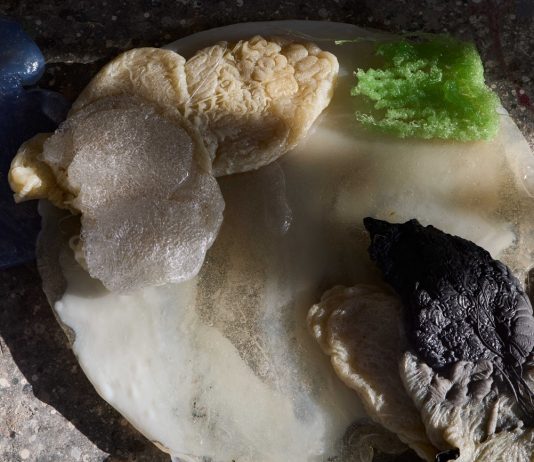 Con te con tutto: presentato il Padiglione Italia di Chiara Camoni e Cecilia Canziani. Ma non si arrestano le polemiche sulla Biennale padiglione italia