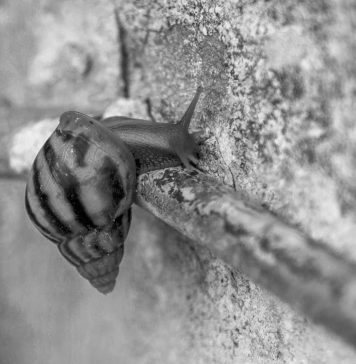 Milano Art Week 2026, le mostre e gli appuntamenti di oggi da non perdere