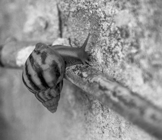 Milano Art Week 2026, le mostre e gli appuntamenti di oggi da non perdere