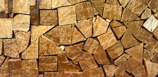 21Art presenta il programma espositivo della primavera 2026: tre grandi mostre tra Treviso, Roma e la nuova sede di Montecarlo