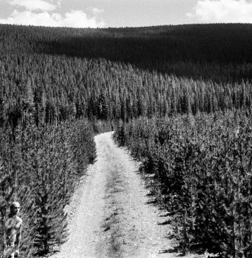 Other Identity #201, altre forme di identità culturali e pubbliche: Lorenzo Castore