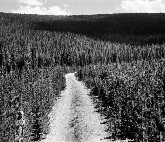 Other Identity #201, altre forme di identità culturali e pubbliche: Lorenzo Castore