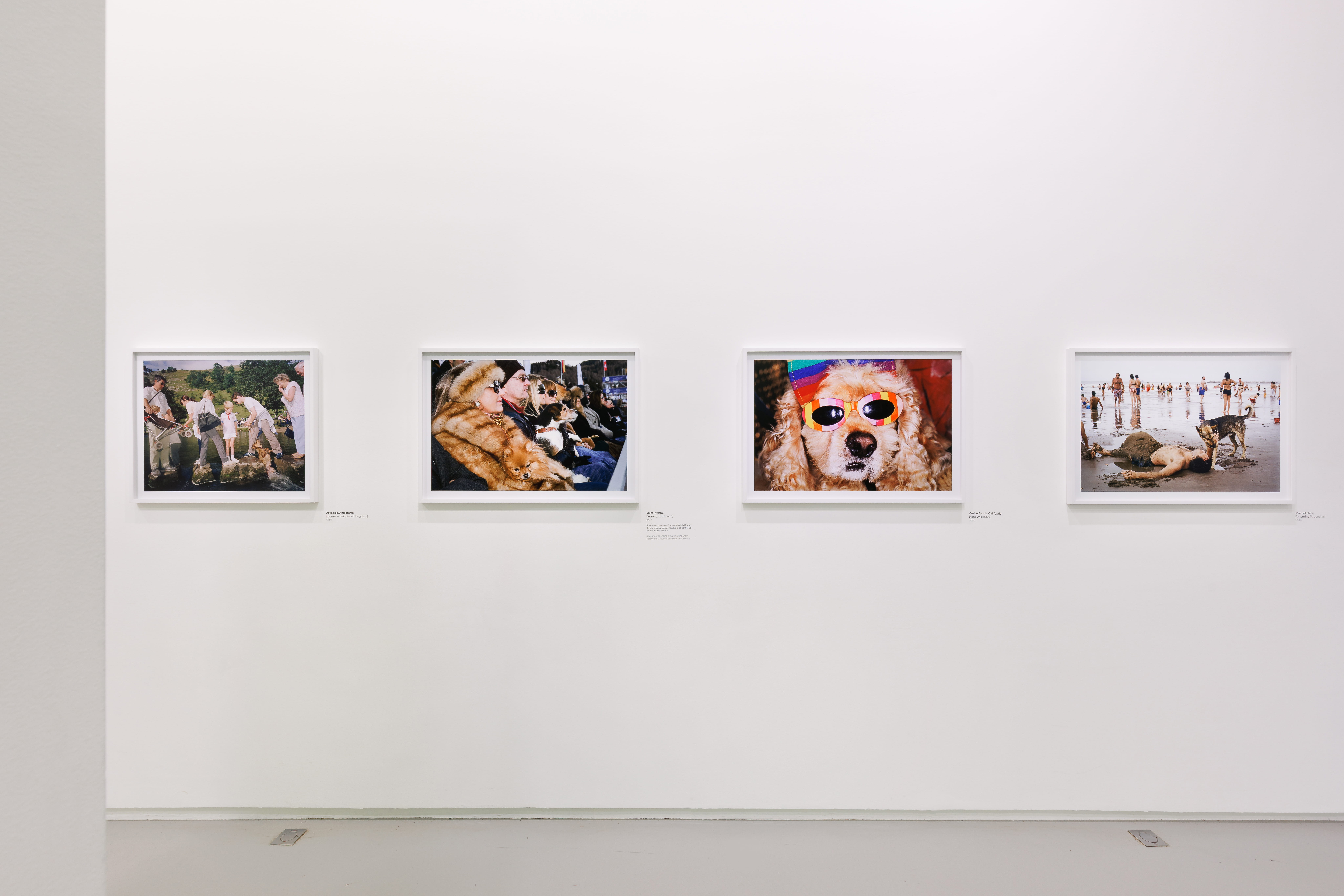 Martin Parr, GLOBAL WARNING, veduta della mostra, Jeu de Paume, Parigi, 2026, ph. Salim Santa Lucia
