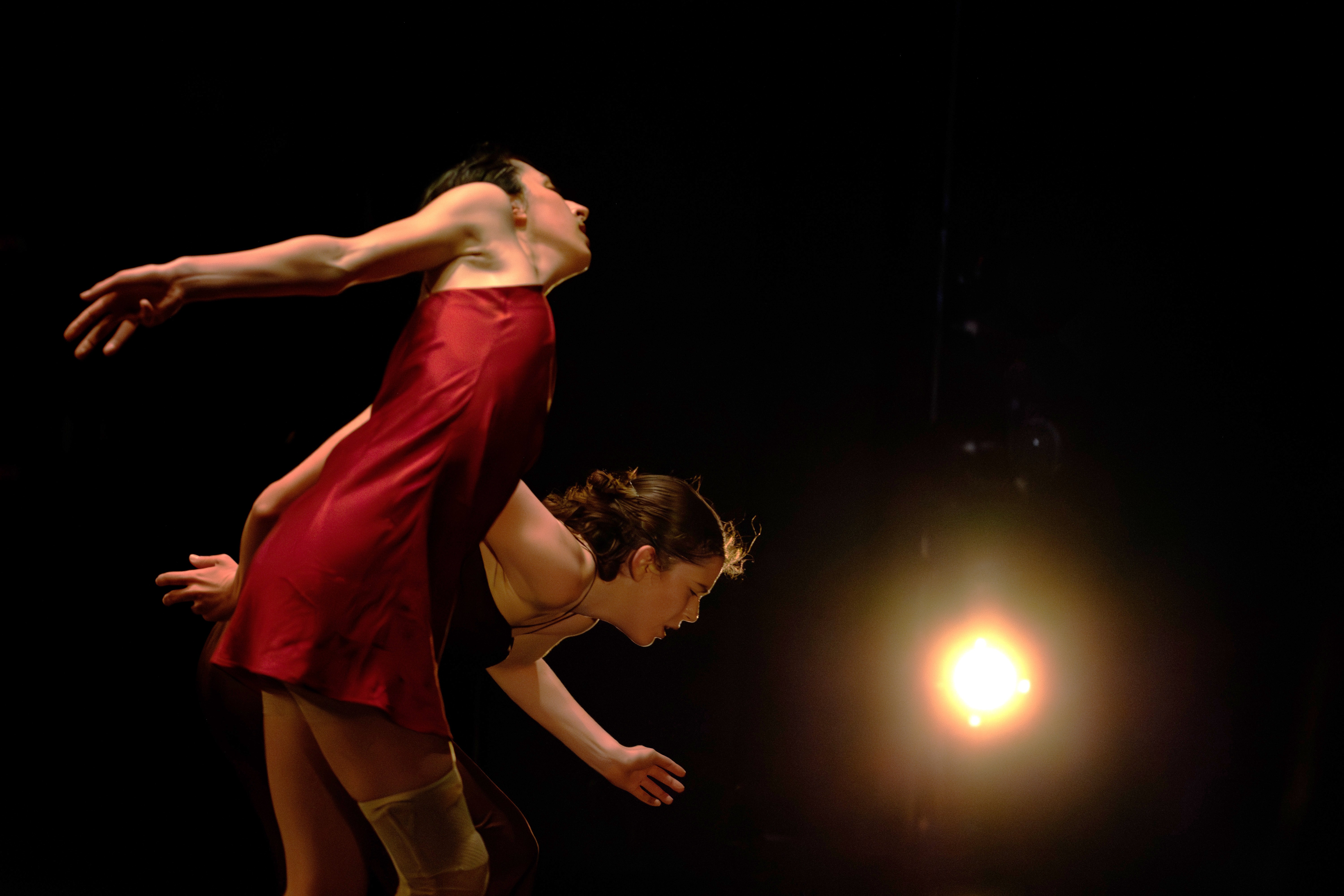 Adriano Bolognino coreografie 