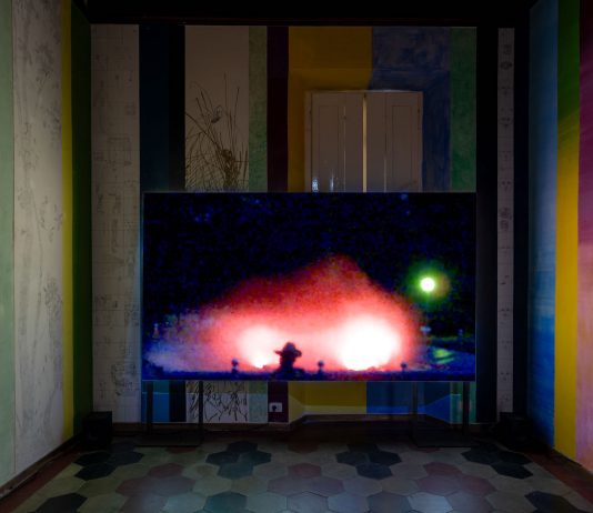 Oltre le mura di Palazzo Vizzani: la pratica dell’abitare per le nuove residenze di Alchemilla