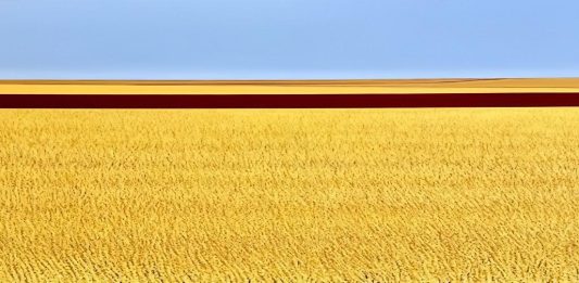 VOKIANA – ONE SQUARE KILOMETRE – HARVEST HARVEST 2025