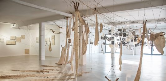 Wood Wide Web: la foresta di Ketty Gobbo invade la Galleria Artericambi, a Verona