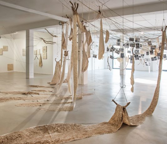 Wood Wide Web: la foresta di Ketty Gobbo invade la Galleria Artericambi, a Verona