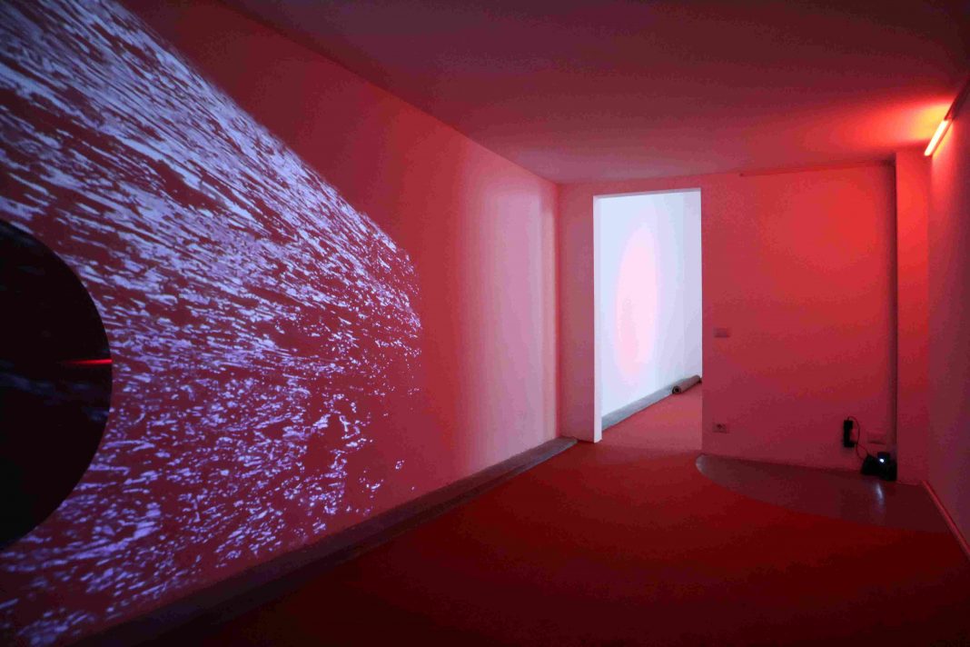 PedroTorres-Palpita-01