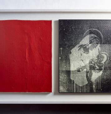 Dall’immagine nascosta alla materia vivente: Brad Downey a Reggio Emilia