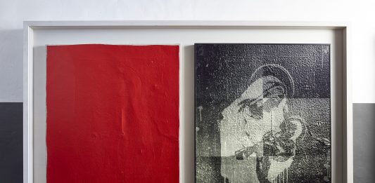 Dall’immagine nascosta alla materia vivente: Brad Downey a Reggio Emilia