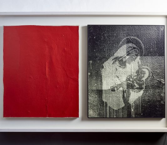 Dall’immagine nascosta alla materia vivente: Brad Downey a Reggio Emilia