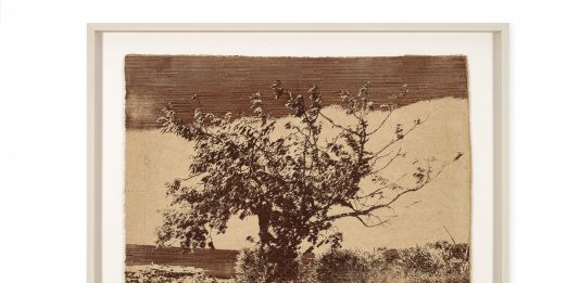 Il ciclo vitale della natura, nelle opere di Brad Downey: la mostra a Reggio Emilia