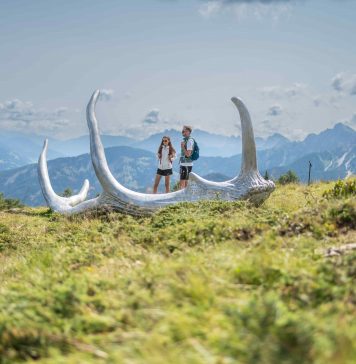 Via Artis Plan de Corones: l’open call per un’opera site specifc a 2.275 metri