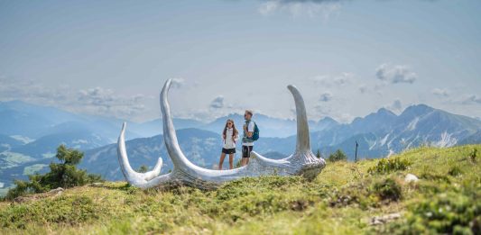 Via Artis Plan de Corones: l’open call per un’opera site specifc a 2.275 metri