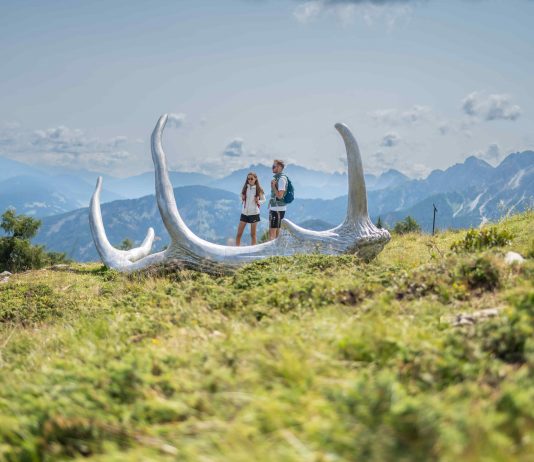 Via Artis Plan de Corones: l’open call per un’opera site specifc a 2.275 metri