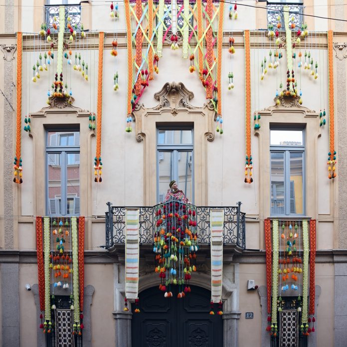 when apricots blossom