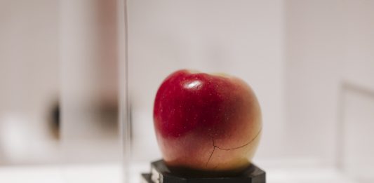 Al Castello di Miradolo le opere degli artisti contemporanei ricreano la meraviglia della fiaba fiaba