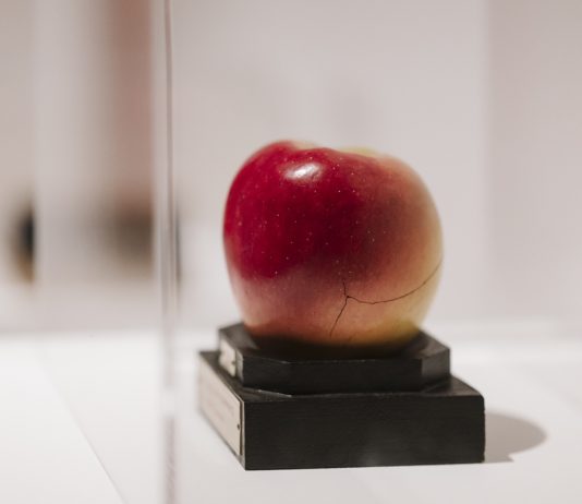 Al Castello di Miradolo le opere degli artisti contemporanei ricreano la meraviglia della fiaba fiaba