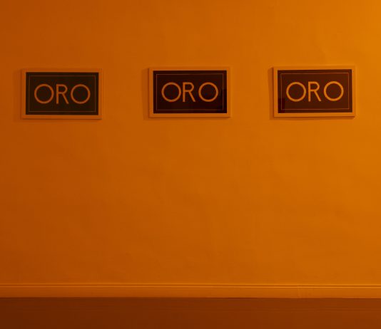 Per Delia Gonzalez la persuasione è un’arte pericolosa: la mostra alla Galleria Fonti di Napoli