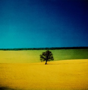 Finarte: è record mondiale per una fotografia di Franco Fontana