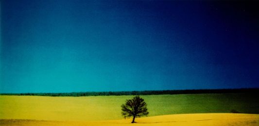Finarte: è record mondiale per una fotografia di Franco Fontana record franco fontana