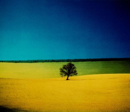 Finarte: è record mondiale per una fotografia di Franco Fontana record franco fontana