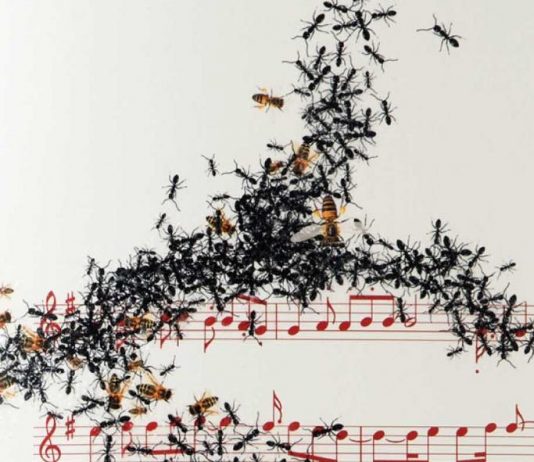 Canto Napoli: Isgrò rilegge la tradizione musicale partenopea a Capodimonte