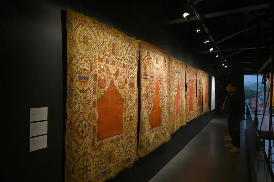 Le trame del dragone, veduta della mostra, MITA Museo Internazionale del Tappeto Antico, Brescia, 2026