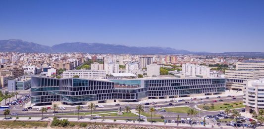 Art Cologne debutta a Palma, con una fiera vista mare art cologne palma mallorca