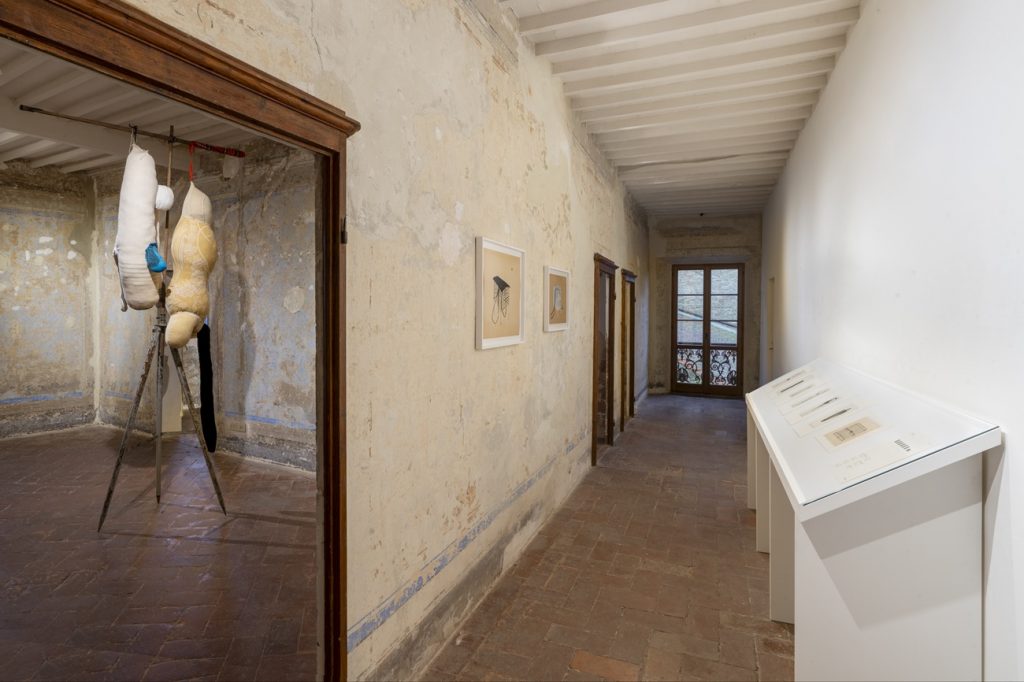 Berlinde De Bruyckere