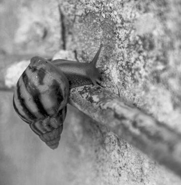 Milano Art Week 2026, le mostre e gli appuntamenti di oggi da non perdere