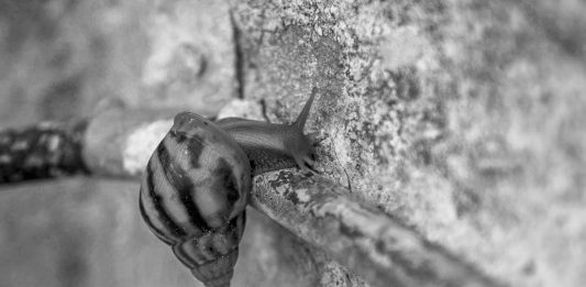 Milano Art Week 2026, le mostre e gli appuntamenti di oggi da non perdere