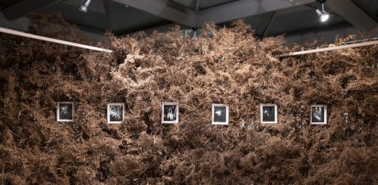Il presente al collasso: la doppia mostra di Laura Pugno e Filippo Tommasoli da Habitat 83