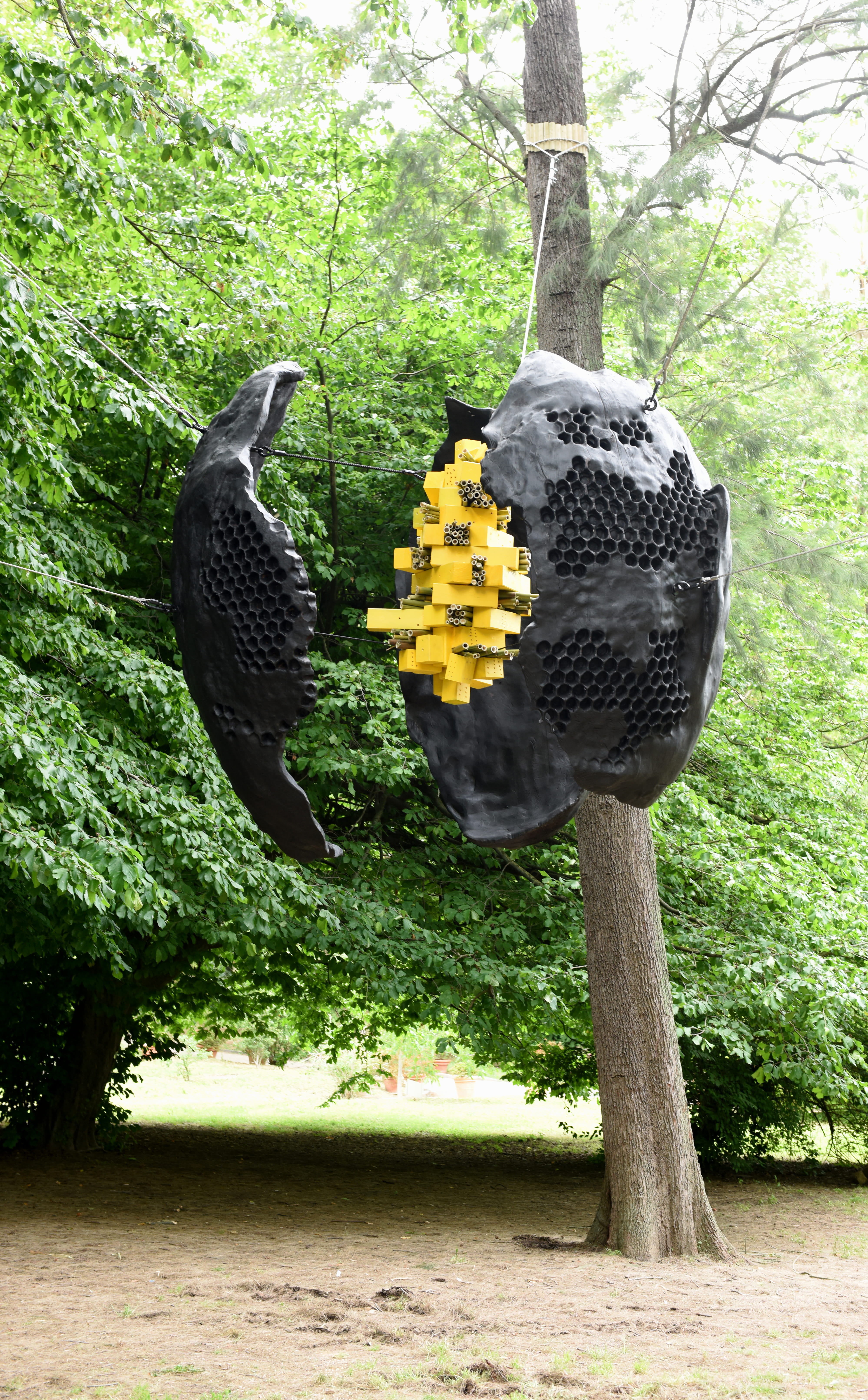 Cyril de Commarque, Api-logo, veduta dell'installazione, Orto Botanico di Roma