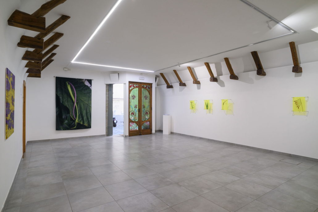 Gentle Collapse mostra napoli