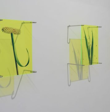 A Napoli una mostra riflette sull’ossessione contemporanea per la perfezione