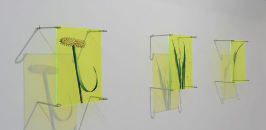 A Napoli una mostra riflette sull’ossessione contemporanea per la perfezione A Gentle Collapse, veduta della mostra, Andrea Nuovo Home Gallery, Napoli, 2026