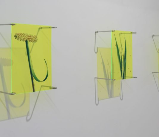 A Napoli una mostra riflette sull’ossessione contemporanea per la perfezione A Gentle Collapse, veduta della mostra, Andrea Nuovo Home Gallery, Napoli, 2026