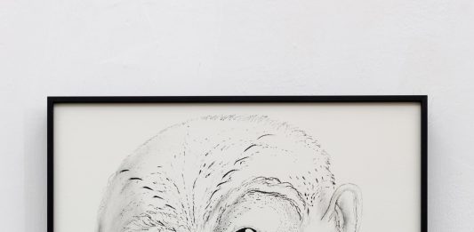 Napoli Gallery Weekend 2026: tornano i giorni dell’arte contemporanea diffusa in città