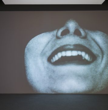 Non ogni cosa è illuminata dal linguaggio: tre artiste al Museo Madre