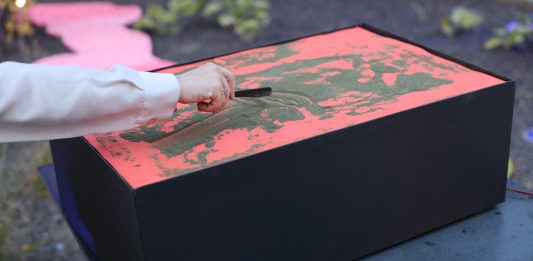 Arte, ecologia e rigenerazione urbana: la call delle Bolzano Art Weeks 2026