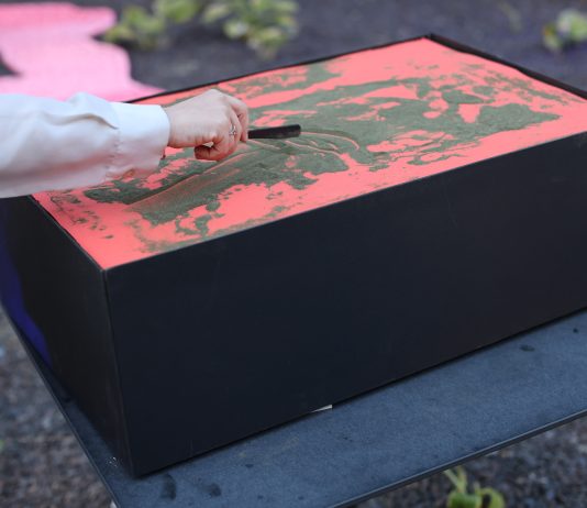 Arte, ecologia e rigenerazione urbana: la call delle Bolzano Art Weeks 2026