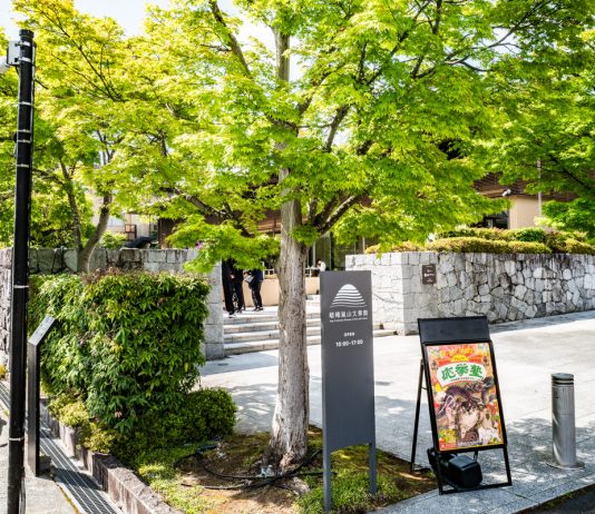 Ayato Takemoto racconta i musei di Kyoto, dove la cultura incontra la natura