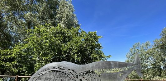 Arte, ambiente e comunità: il MAAAPO di Arena Po come laboratorio culturale MAAAPO Arena Po arte