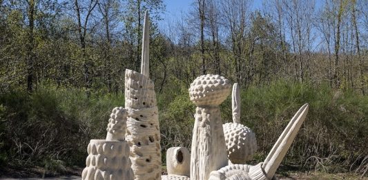 OCA Oasy Contemporary Art and Architecture vi aspetta fino al 1° novembre sull’Appennino Pistoiese con il percorso nel bosco e la nuova mostra di Arne Quinze