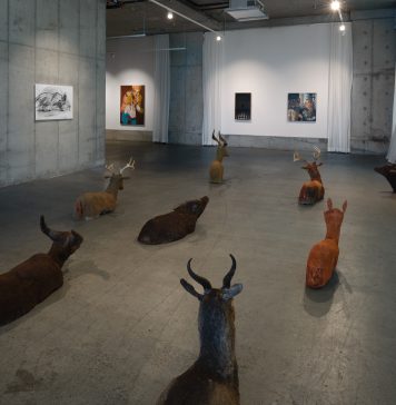 A Brooklyn la ribellione passa dall’arte: incontro con The Kollection