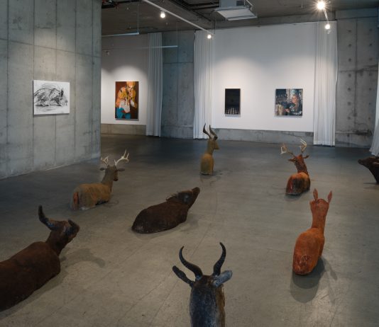 A Brooklyn la ribellione passa dall’arte: incontro con The Kollection